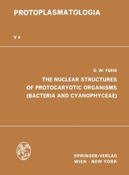 The Nuclear Structures of Protocaryotic Organisms (Bacteria and Cyanophyceae)