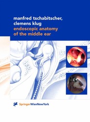 Endoscopic Anatomy of the Middle Ear