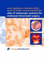 Atlas of Endoscopic Anatomy for Endonasal Intracranial Surgery