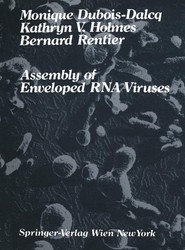 Assembly of Enveloped RNA Viruses