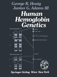 Human Hemoglobin Genetics