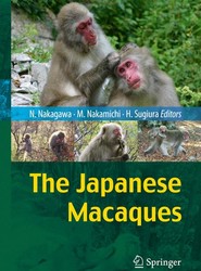 The Japanese Macaques
