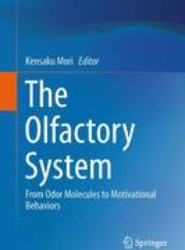 The Olfactory System