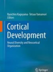 Cortical Development