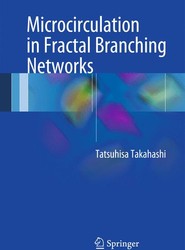 Microcirculation in Fractal Branching Networks