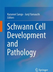 Schwann Cell Development and Pathology