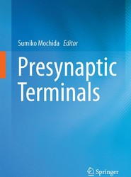 Presynaptic Terminals