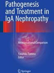 Pathogenesis and Treatment in IgA Nephropathy