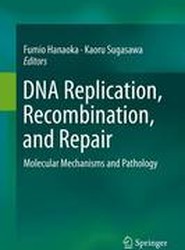 DNA Replication, Recombination, and Repair