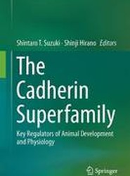 The Cadherin Superfamily