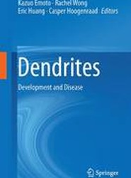 Dendrites
