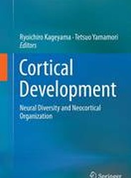 Cortical Development