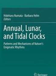Annual, Lunar, and Tidal Clocks