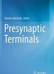 Presynaptic Terminals