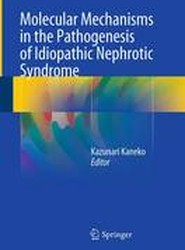 Molecular Mechanisms in the Pathogenesis of Idiopathic Nephrotic Syndrome