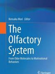 The Olfactory System