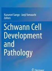 Schwann Cell Development and Pathology