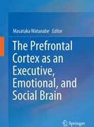 The Prefrontal Cortex as an Executive, Emotional, and Social Brain