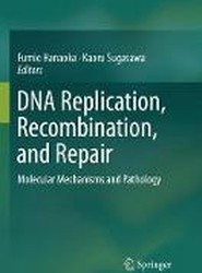 DNA Replication, Recombination, and Repair
