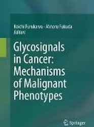 Glycosignals in Cancer: Mechanisms of Malignant Phenotypes
