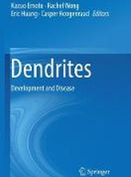 Dendrites