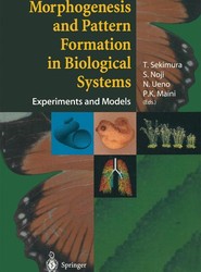 Morphogenesis and Pattern Formation in Biological Systems