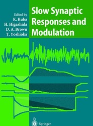 Slow Synaptic Responses and Modulation
