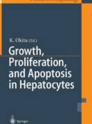 Growth, Proliferation, and Apoptosis in Hepatocytes