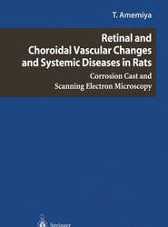 Retinal and Choroidal Vascular Changes and Systemic Diseases in Rats
