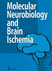 Molecular Biology and Brain Ischemia
