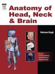 Anatomy of Head, Neck and Brain