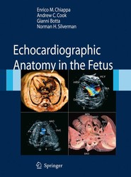Echocardiographic Anatomy in the Fetus