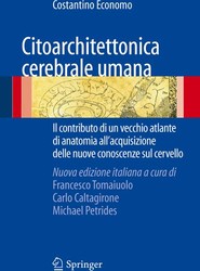 Citoarchitettonica cerebrale umana