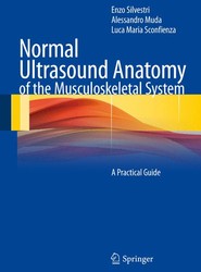 Normal Ultrasound Anatomy of the Musculoskeletal System