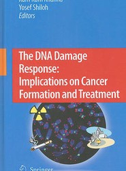 The DNA Damage Response: Implications on Cancer Formation and Treatment