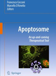 Apoptosome