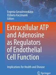Extracellular ATP and adenosine as regulators of endothelial cell function
