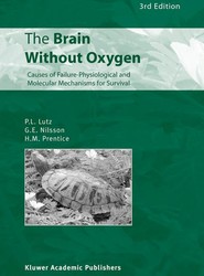 The Brain Without Oxygen