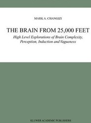 The Brain from 25,000 Feet