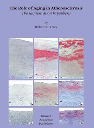 The Role of Aging in Atherosclerosis