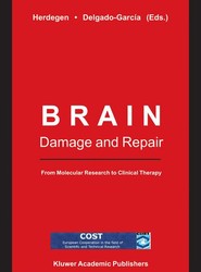 Brain Damage and Repair