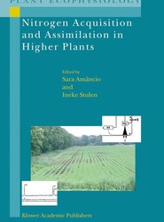 Nitrogen Acquisition and Assimilation in Higher Plants