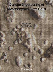 Genetic Engineering of Mesenchymal Stem Cells