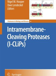 Intramembrane-Cleaving Proteases (I-CLiPs)