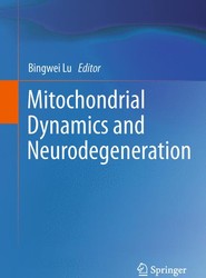 Mitochondrial Dynamics and Neurodegeneration