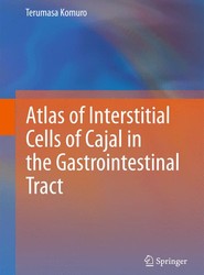 Atlas of Interstitial Cells of Cajal in the Gastrointestinal Tract
