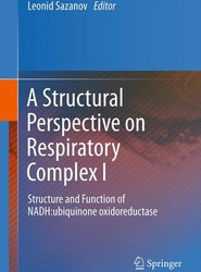 A Structural Perspective on Respiratory Complex I