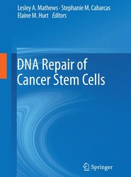 DNA Repair of Cancer Stem Cells