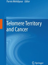 Telomere Territory and Cancer