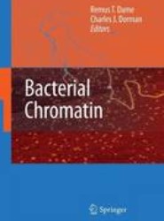 Bacterial Chromatin